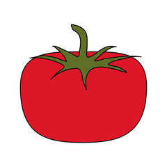 Fresh tomato vegetable
