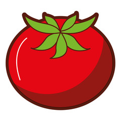 fresh tomato isolated icon vector illustration design