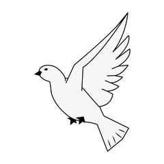 Dove bird symbol