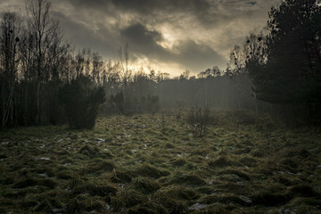 Beautiful natural wild nature in Kaminos National Park. Poland. © Jacek Jacobi