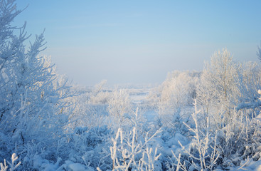 Winter landscape with snow-covered forest and snowdrifts