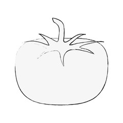 Fresh tomato vegetable