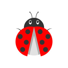 Ladybug icon. Vector illustration.