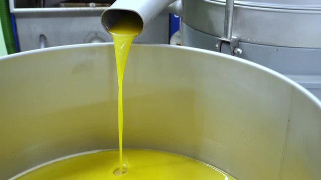 Oil mill - Process of production of extra virgin olive, 4K.