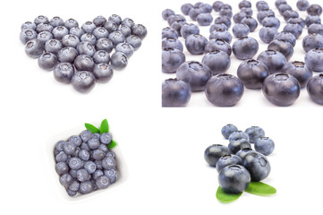 Set of blueberry