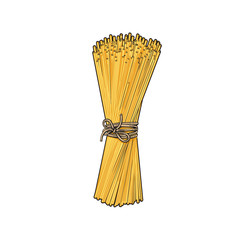Bunch of spaghetti tied up with a rope, ribbon, Italian pasta, sketch style vector illustration on white background. Realistic hand drawing of spaghetti tied up with a rope, uncooked Italian pasta