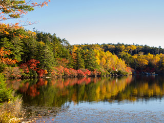 白駒の池　湖畔の紅葉