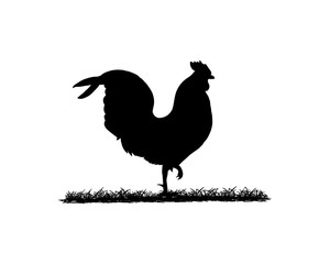 Black Rooster Illustration Vector Logo Silhouette
