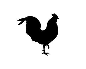 Black Rooster Illustration Vector Logo Silhouette
