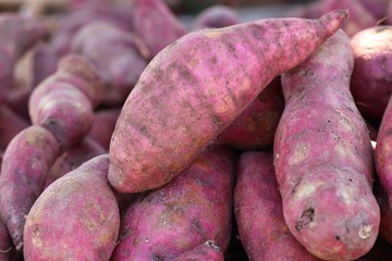 Sweet potato at street food