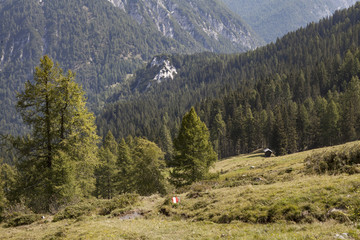 Fototapeta na wymiar Landschaft in den Karnischen Alpen