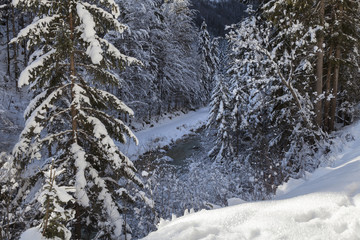 Fototapeta na wymiar Winterlandschaft in Slowenien