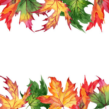 Maple leaves frame in a watercolor style. Aquarelle maple leaves for background, texture, wrapper pattern, frame or border.