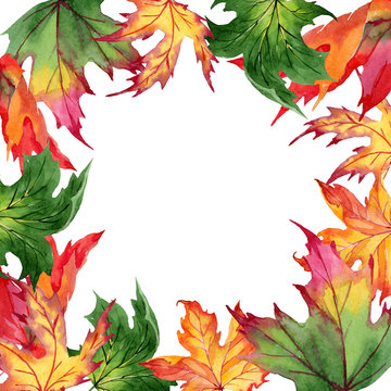 Maple leaves frame in a watercolor style. Aquarelle maple leaves for background, texture, wrapper pattern, frame or border.