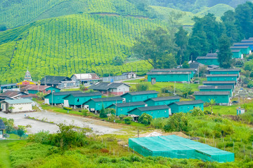 Brinchang village in Cameron Valley of tea plantations Malaysia