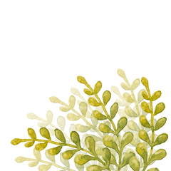 Beautiful abstract green leaves painted watercolor isolated on white background