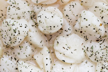 Fresh raw scallops close-up with herbs in marinade. Seafood. Uncooked scallops shell with basil, oregano.