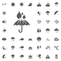 Umbrella and rain drops icon. Weather vector icons set