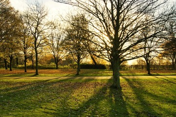 Fototapeta premium An image of a late Autumn landscape.