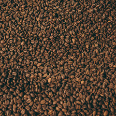 full frame of heap of roasted coffee beans
