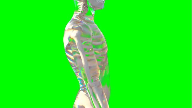 Rotazione e scansione verticale scheletro maschile su sfondo chroma key