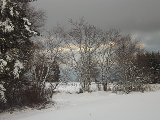 la beauté au naturel 