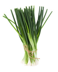 Green onion isolated on the white background