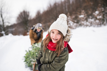 Grandfather and small girl getting a Christmas tree in forest.