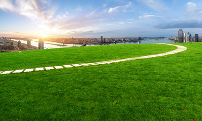 No grass and landmark buildings in the city center of Shenzhen