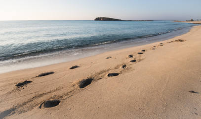 Footsteps on a sandy beach