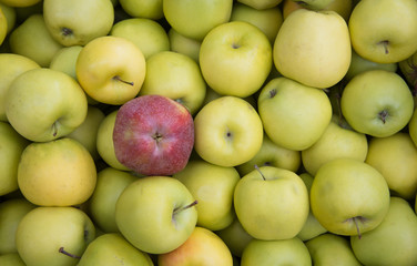 Fresh healthy green and red apples on a fruit market