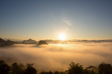 Forrest mountain slope in low lying cloud with the evergreen conifer shrouded in mist in scenic landscape Thailand view.