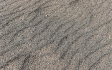 Fototapeta na wymiar Whispering sands in Bromo Tengger Semeru national park