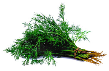 fresh dill isolated on white