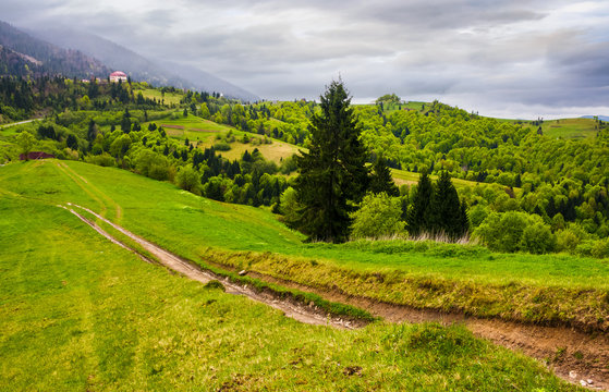 dirt road through grassy slope in rural area. beautiful countryside of Carpathian mountains on an overcast springtime day