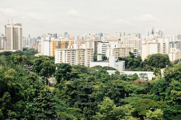 Obraz premium Metropolitan planning commodities front chunks of green