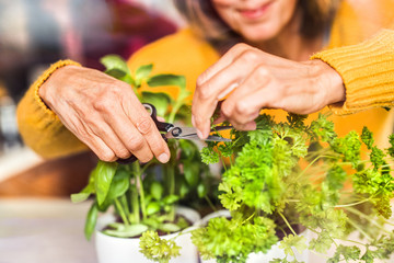 Senior woman preparing food in the kitchen.