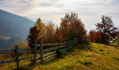 Fototapeta na wymiar fence along the grassy hillside. beautiful autumn scenery in mountains. calm rural life concept