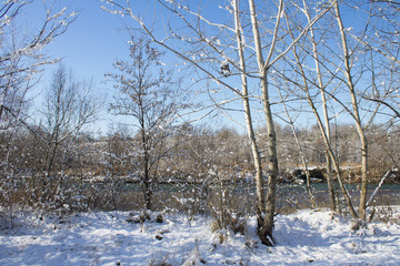 Winter nature under the first snow on a sunny day.
