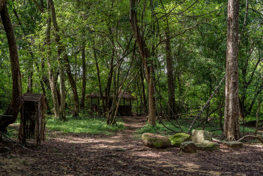 House of vedda people