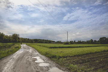 Fototapeta na wymiar muddy wet road with puddles boarded with green fields, Lonjsko Polje; Croatia