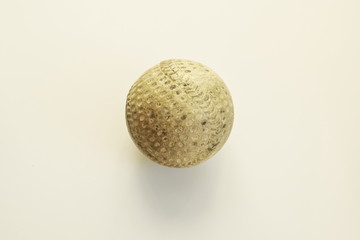 A ball for baseball on a white background