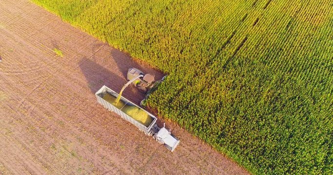 Semi truck and farm machines harvesting corn in Autumn, breathtaking aerial view.
