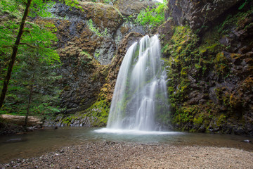Fall Creek Falls in Oregon Near North Umpqua