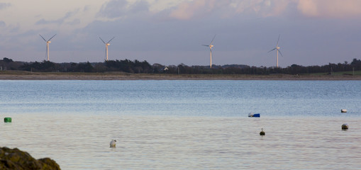 Eoliennes en bord de mer