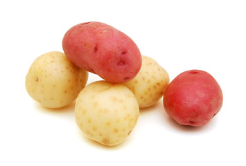 Little potatoes on pure white background