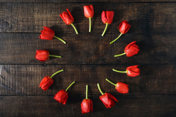 Round frame made of red tulips on dark wooden background