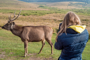 Female wildlife photographer