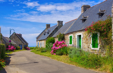 Fototapeta na wymiar Bretagne Haus mit Hortensien - typical old house and hydrangea flower in Brittany