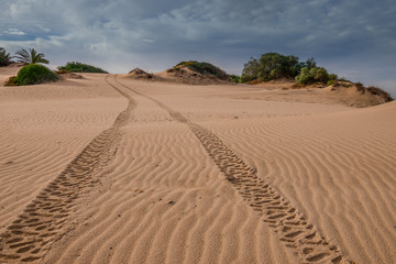 The Israeli dune. Ashkelon